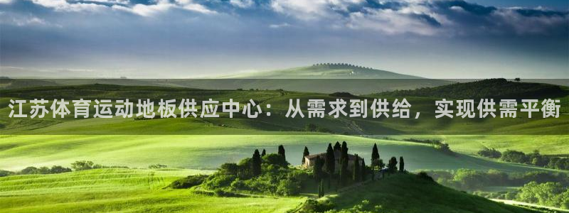 三亿体育登录：江苏体育运动地板供应中心：从需求到供给，实现供需平衡