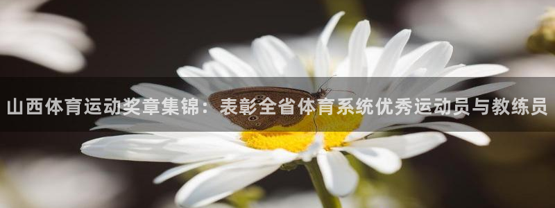 三亿体育：山西体育运动奖章集锦：表彰全省体育系统优秀运动员与教练员