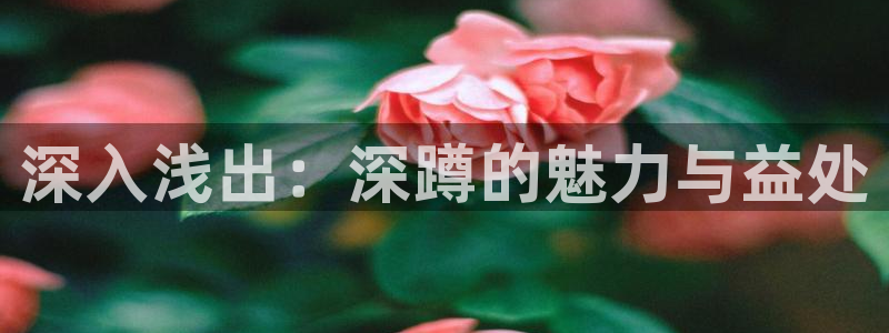 三亿体育网：深入浅出：深蹲的魅力与益处