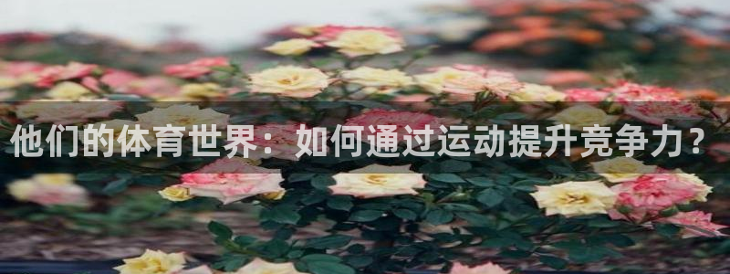 三亿体育：他们的体育世界：如何通过运动提升竞争力？