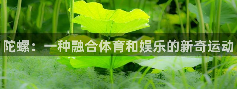 三亿体育登录：陀螺：一种融合体育和娱乐的新奇运动
