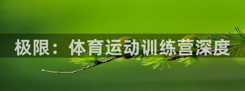 三亿体育网页版：极限：体育运动训练营深度