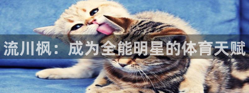 三亿体育网：流川枫：成为全能明星的体育天赋