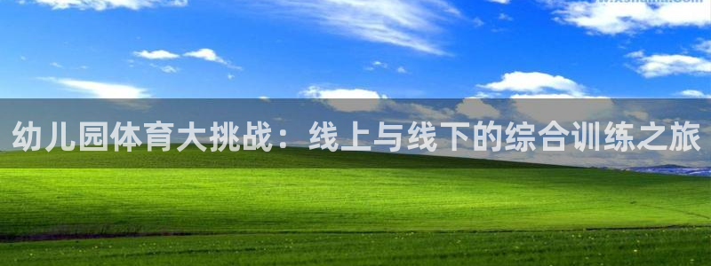 三亿体育网页版：幼儿园体育大挑战：线上与线下的综合训练之旅