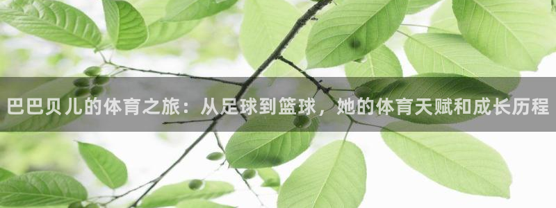 三亿体育登录：巴巴贝儿的体育之旅：从足球到篮球，她的体育天赋和成长历程
